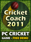 Cricket game