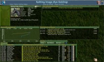 Horse Data